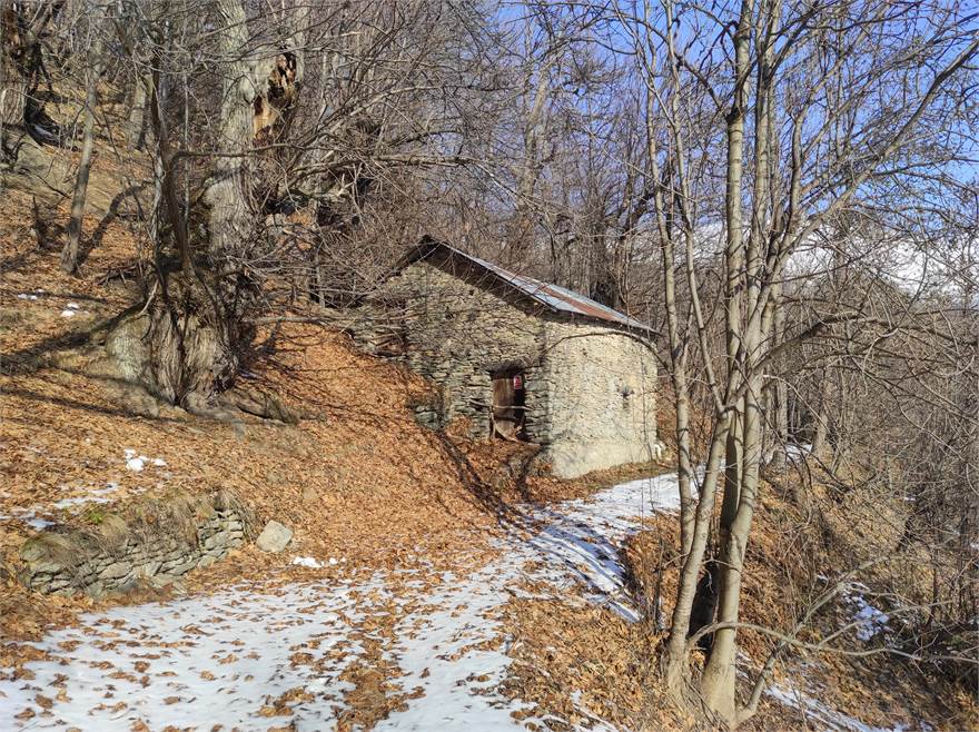 Photo 4