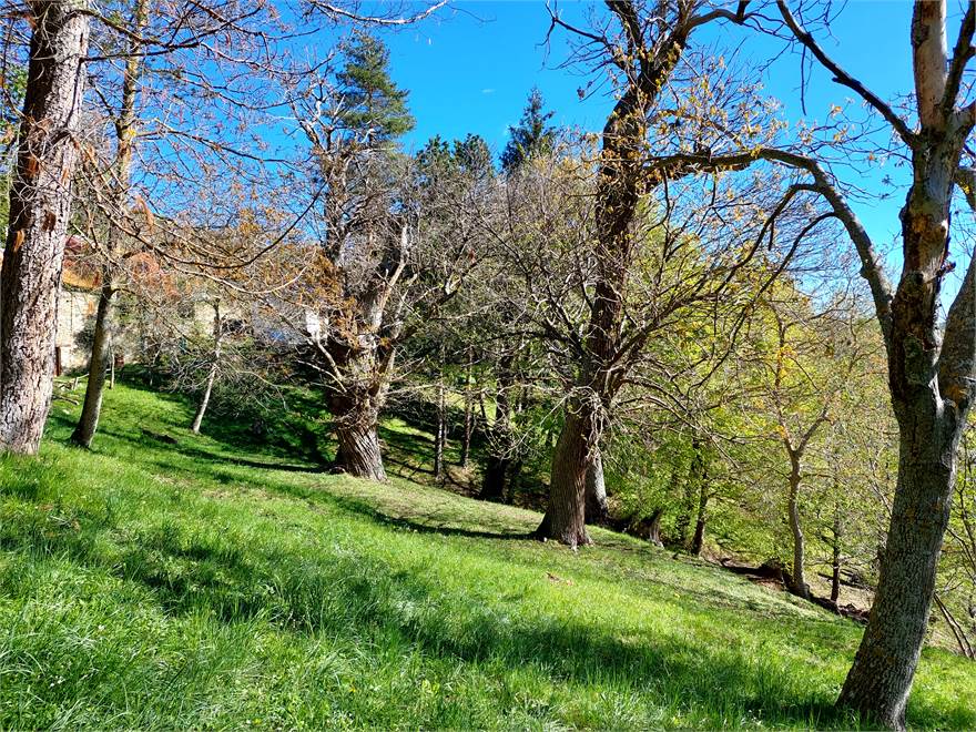Photo 47