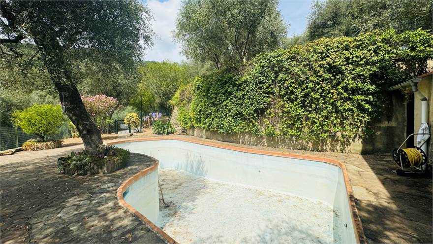 Garden with pool