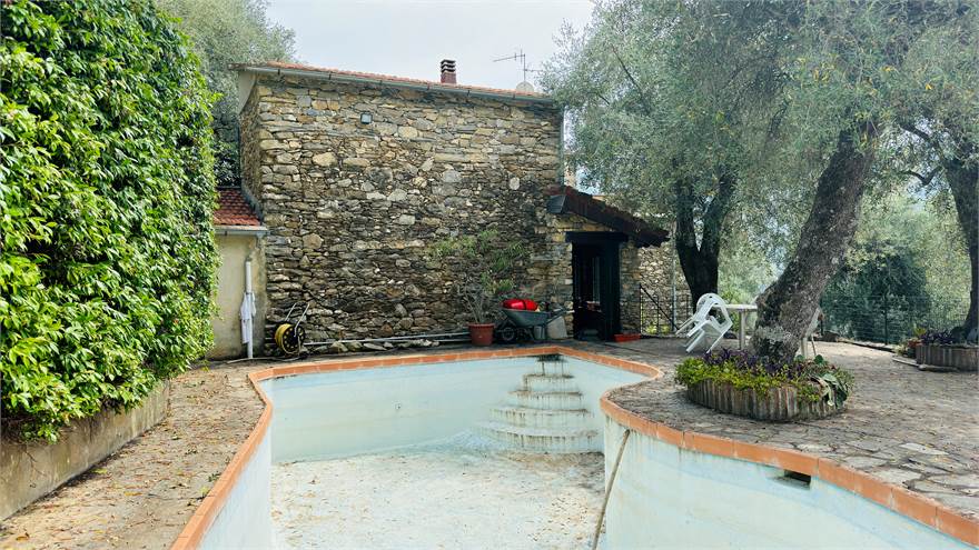 Garden with pool