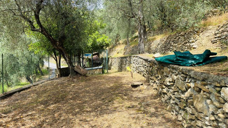 Giardino con bombolone del gas