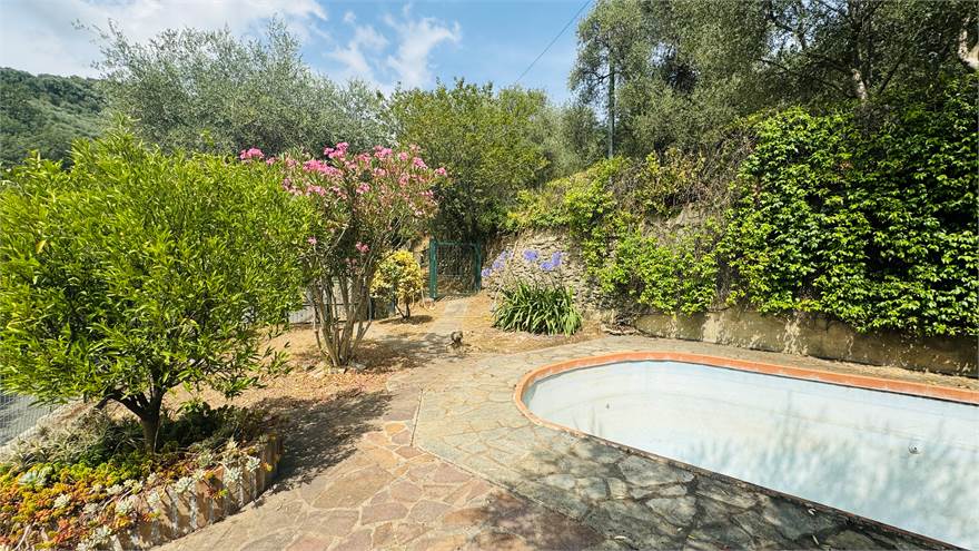 Garden with pool