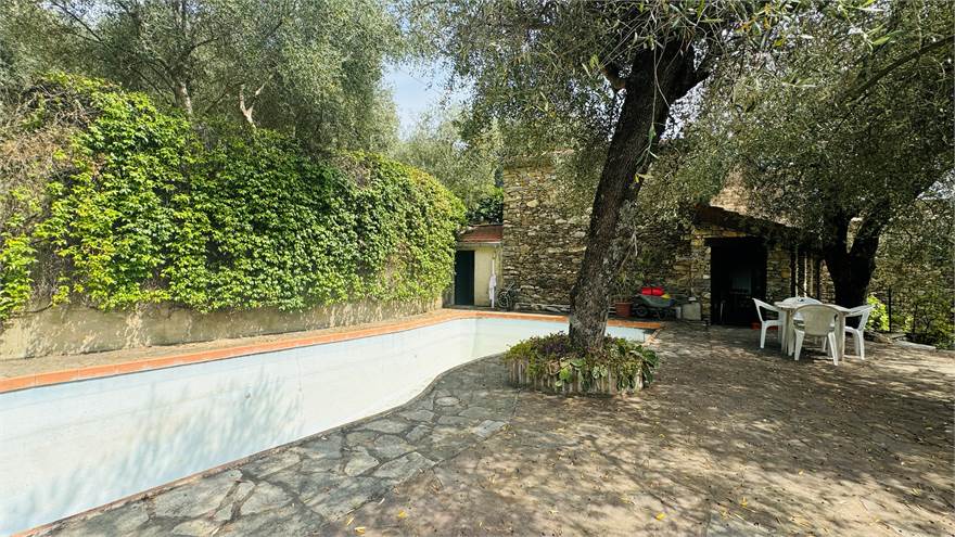 Giardino con piscina 