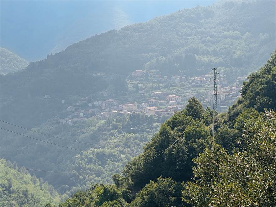 Vista di Rezzo dalla veranda sala