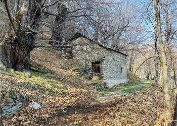 Two rustic houses with private land