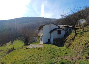 Detached house with private garden