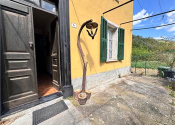Appartamento con giardino e cantina
