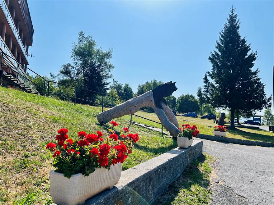 Photo 23