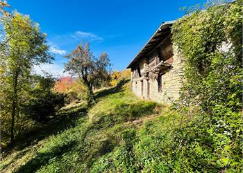 Rustico indipendente con 12.000 metri di terreno. 