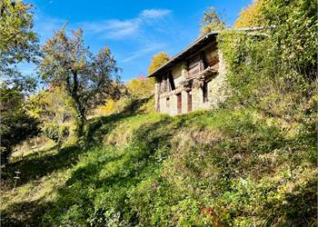 Rustico indipendente con 12.000 metri di terreno. 