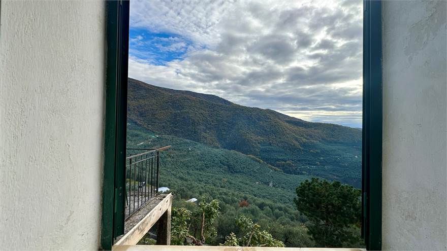 Vista dalla finestra 