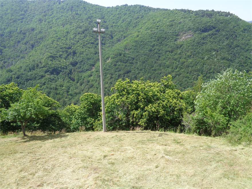 Photo 41
